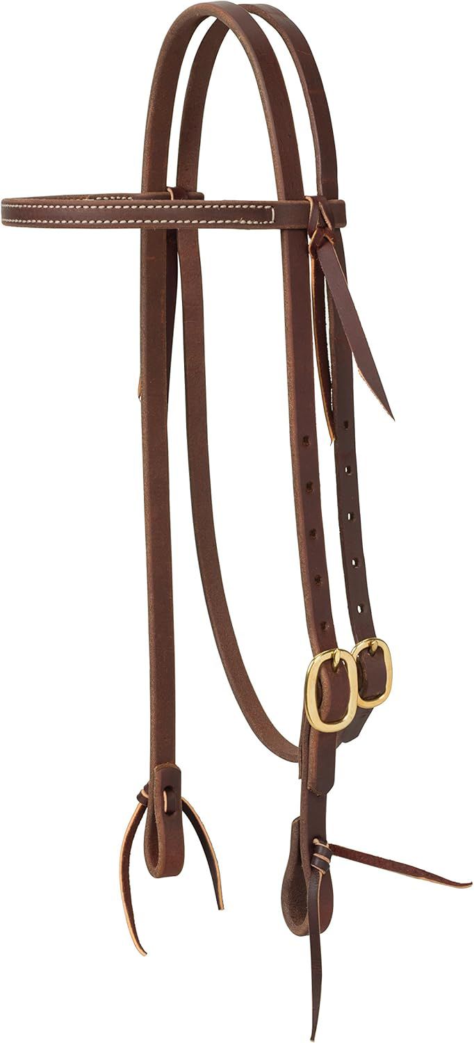 Bridle #1