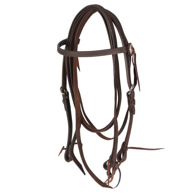 Bridle #3