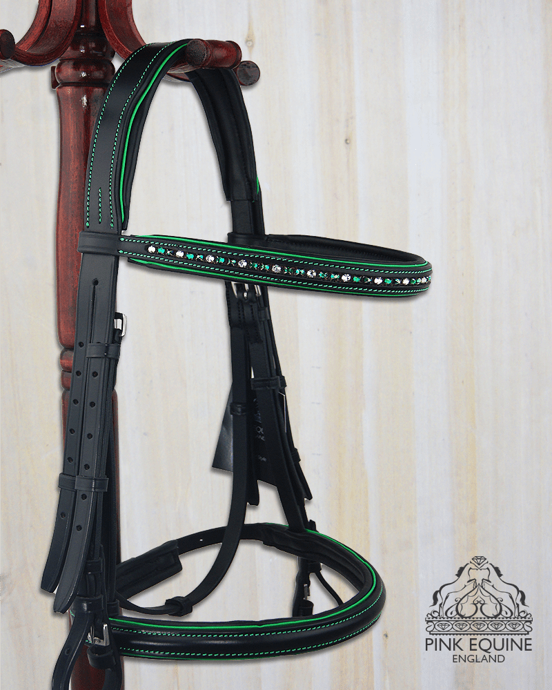 Reins & Accessories
